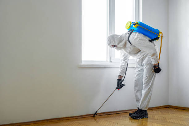 Best Pest Control for Hotels  in Mayodan, NC